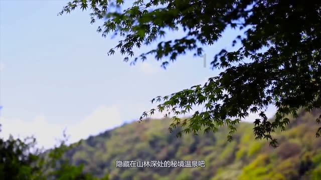 肇源县局网警大队成功打掉一个省内流窜洗钱团伙