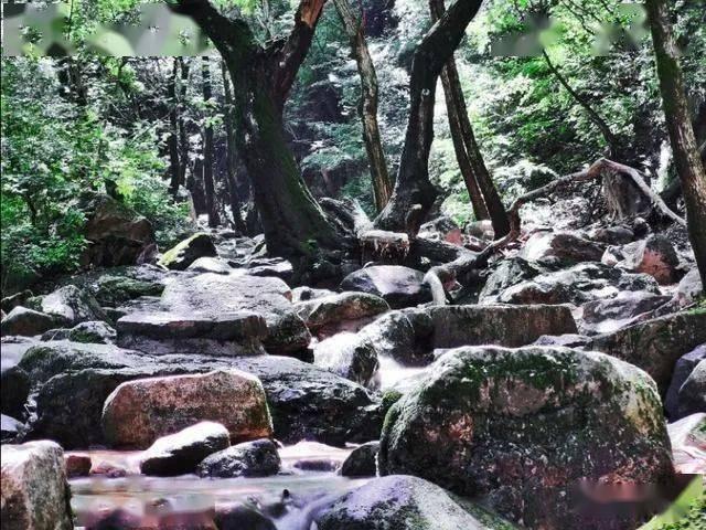 次元喵